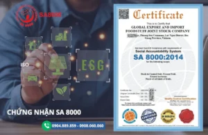 Dịch Vụ Chứng Nhận SA 8000