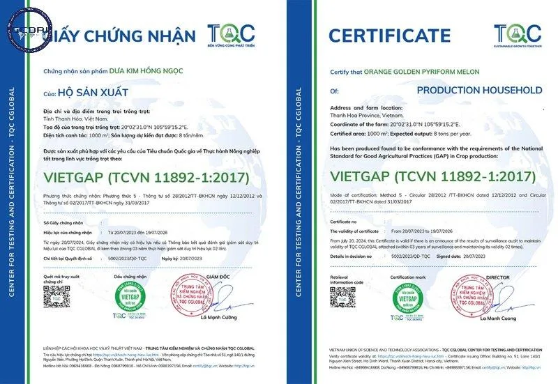 Chứng nhận VIETGAP chăn nuôi: Lợi ích & nguyên tắc quan trọng Chứng nhận VIETGAP chăn nuôi: Lợi ích & nguyên tắc quan trọng - Chứng nhận VIETGAP chăn nuôi