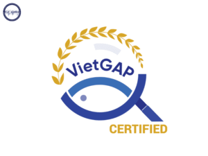 Chứng nhận VIETGAP thủy sản: Lợi ích & phạm vi tác dụng - Chứng nhận VIETGAP thủy sản