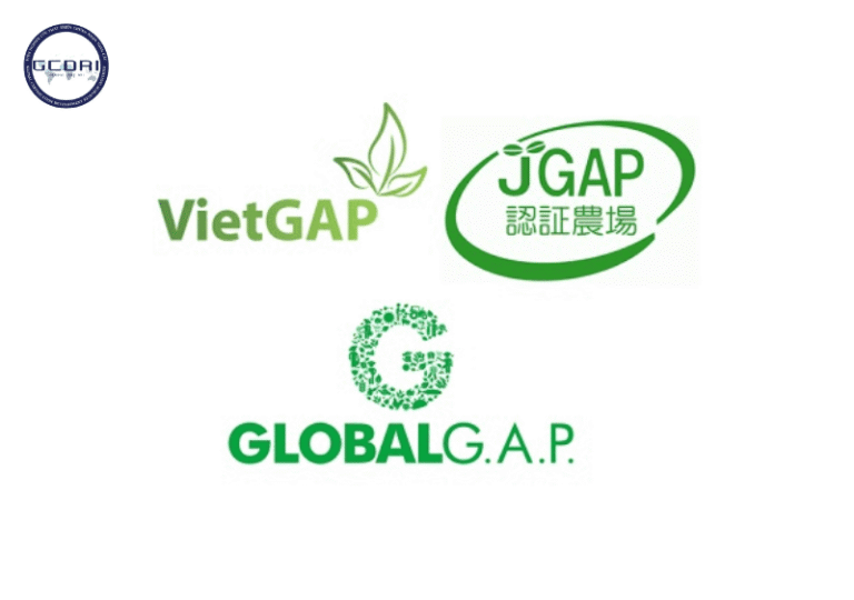 So sánh Tiêu chuẩn VietGAP và GlobalGAP: Giống và Khác nhau