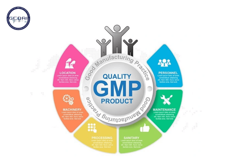 Chứng nhận GMP: Lợi ích, phân loại, quy trình đăng ký Chứng nhận GMP: Lợi ích, phân loại, quy trình đăng ký - Chứng nhận GMP