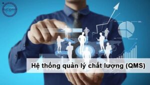 QMS Là Gì? Giải Đáp Mọi Thắc Mắc Về ISO 9001 - QMS Là Gì