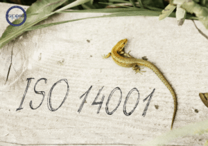 Tiêu chuẩn ISO 14001: Tính chất, phiên bản và đối tượng áp dụng - Tiêu chuẩn ISO 14001