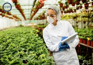 Tiêu chuẩn ISO 22000: Đối tượng, mục tiêu & yêu cầu cơ bản - Tiêu chuẩn ISO 22000