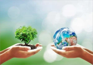Chính sách môi trường xanh sạch đẹp