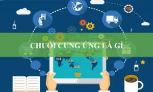 Chuỗi cung ứng là gì