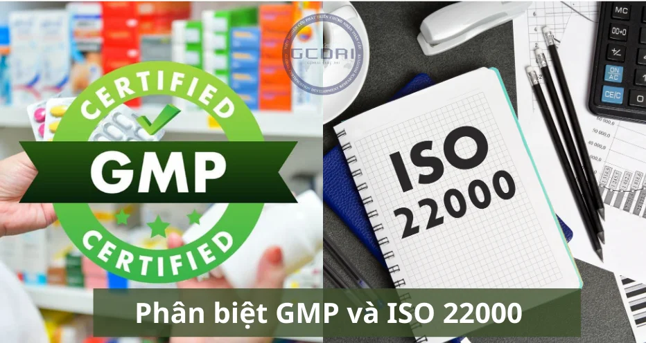 Phân biệt: Tiêu chuẩn GMP và Tiêu chuẩn ISO 22000