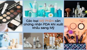 Các loại Mỹ Phẩm cần chứng nhận FDA khi xuất khẩu Mỹ