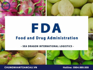 Mẫu giấy chứng nhận FDA
