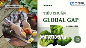 Tiêu chuẩn GLOBAL GAP