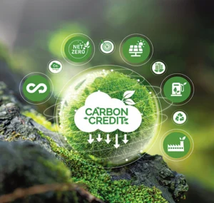 Tính tín chỉ carbon