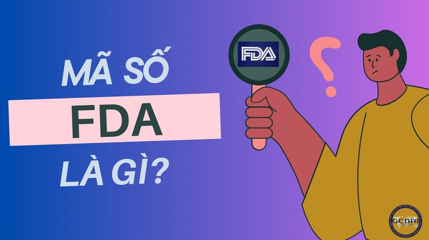 M S FDA L G Doanh Nghi p Vi t C n Hi u ng Xu t Kh u Sang M M S FDA L G Doanh Nghi p Vi t C n Hi u ng Xu t Kh u Sang M
