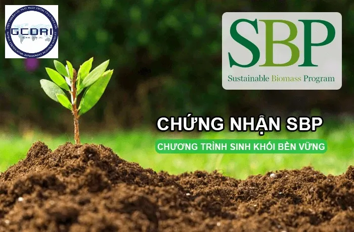 Chứng nhận SBP