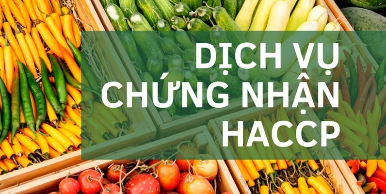Dịch vụ chứng nhận HACCP