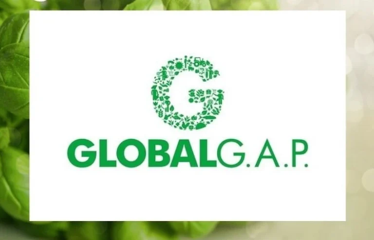 Thủ Tục Đơn Giản – Chi Phí Hợp Lý: Chứng Nhận GLOBAL G.A.P và Lợi Ích Cho Doanh Nghiệp