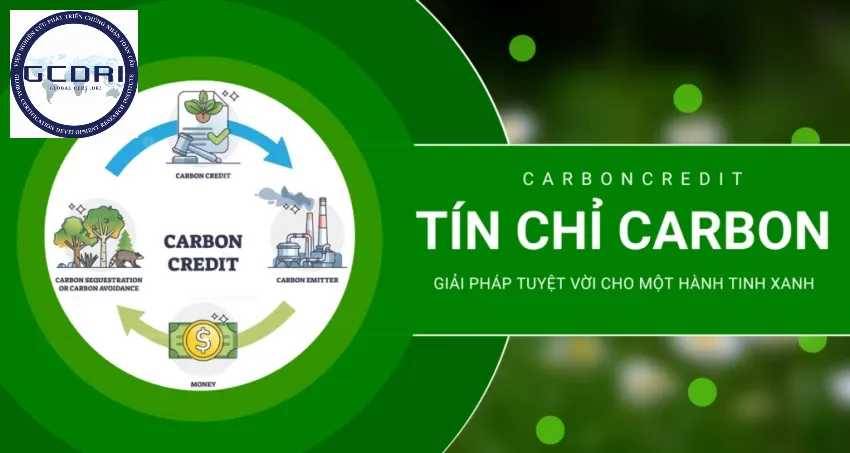 Tín chỉ carbon