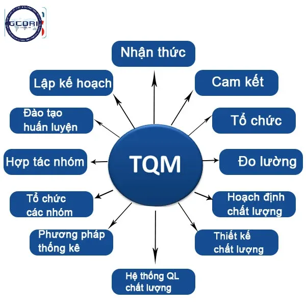 Áp dụng QTM trong doanh nghiệp