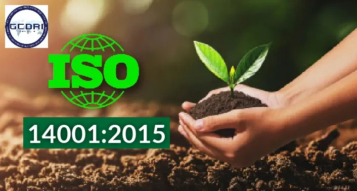 Doanh nghiệp nào nên áp dụng ISO 14001? Hướng dẫn chi tiết từ GCDRI