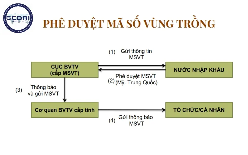 Phương thức đăng ký Mã số vùng trồng