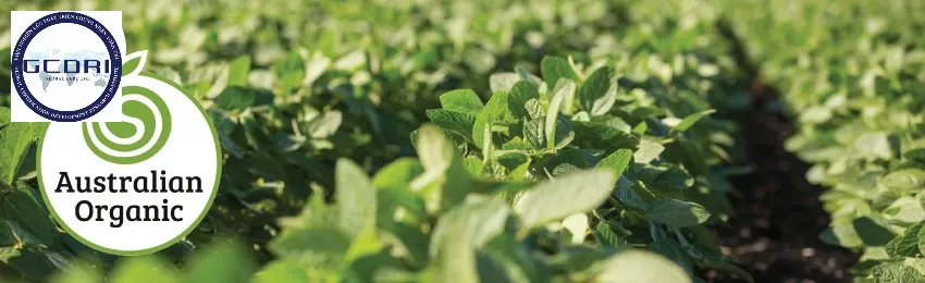 Tổng Quan Về Các Chứng Nhận Hữu Cơ Uy Tín Toàn Cầu: ACO, OFC, BDIH và Soil Association