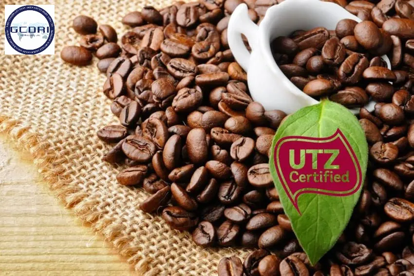 Chứng nhận chuỗi cung ứng UTZ: Giá trị, quy trình và cơ hội cho doanh nghiệp