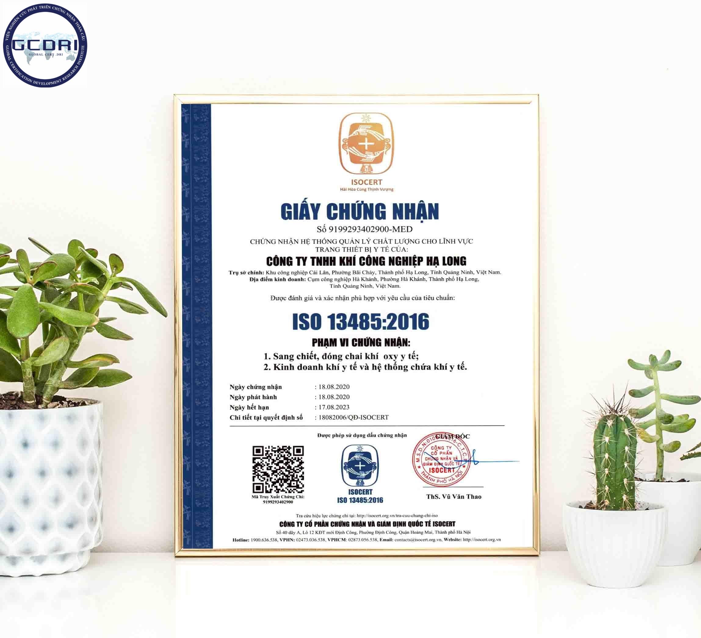 Mẫu Giấy Chứng Nhận ISO: Nội Dung, Hình Thức và Giá Trị Pháp Lý
