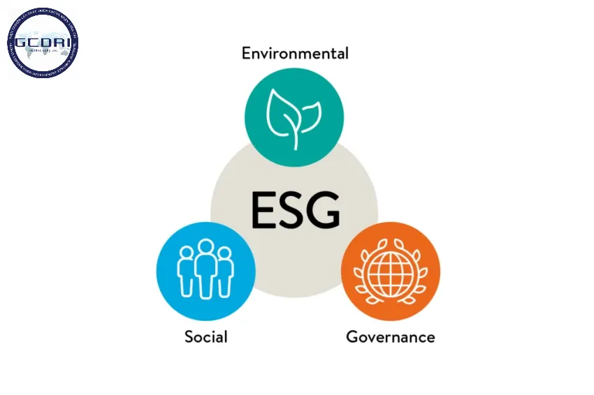 Hướng Dẫn Toàn Diện về Báo Cáo ESG: Giải Pháp Chiến Lược Cho Doanh Nghiệp Phát Triển Bền Vững