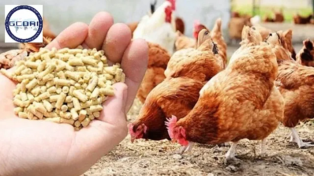 TCVN 9471:2012 – Tiêu Chuẩn Quốc Gia Về Thức Ăn Chăn Nuôi