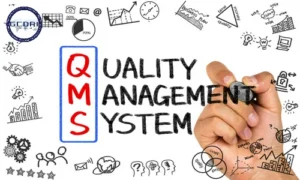 Hệ thống quản lý chất lượng QMS trong doanh nghiệp