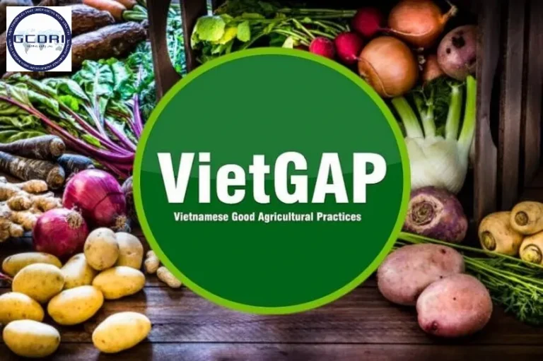 Chứng nhận VietGAP cho sản phẩm trồng trọt – Giải pháp nâng tầm giá trị nông sản Việt