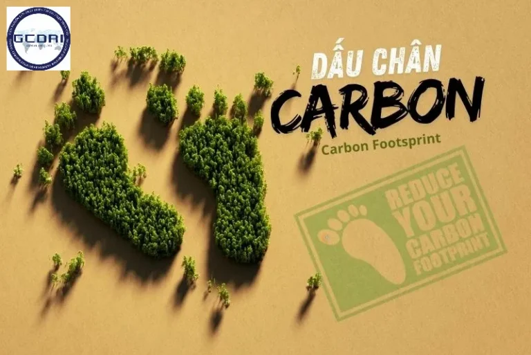 Tín Chỉ Carbon Rừng Là Gì? GCDRI Giải Đáp