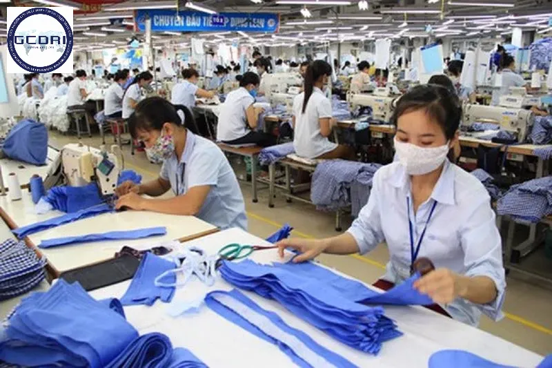 Hanvico và Hành Trình Đạt Chứng Nhận Hợp Quy Dệt May: Bước Tiến Chiến Lược Đảm Bảo Chất Lượng Sản Phẩm