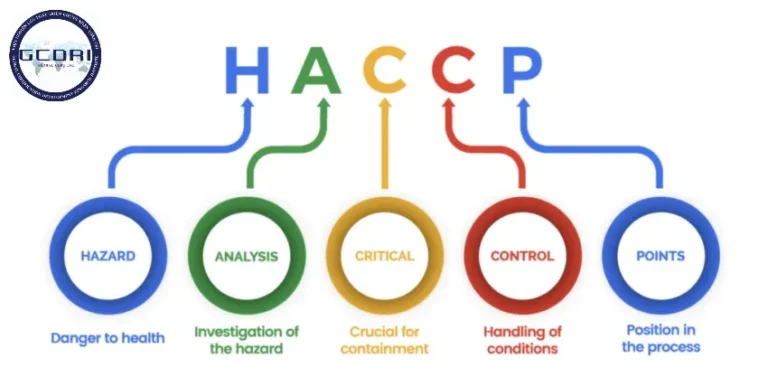 CCP là gì? Hướng dẫn xác định Điểm Kiểm Soát Tới Hạn trong HACCP