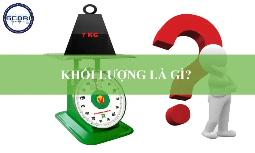 Các đơn vị đo khối lượng và cách chuyển đổi dễ hiểu