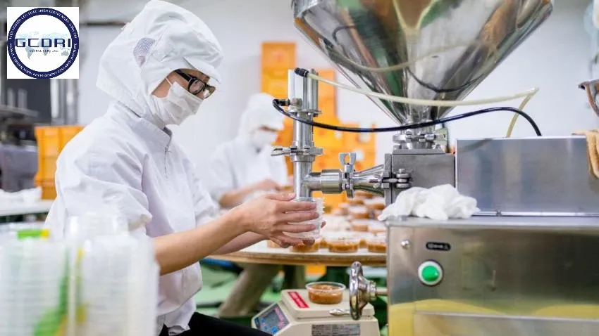 Ứng dụng mô hình 5S trong ngành chế biến thực phẩm: Giải pháp tối ưu cho an toàn và chất lượng