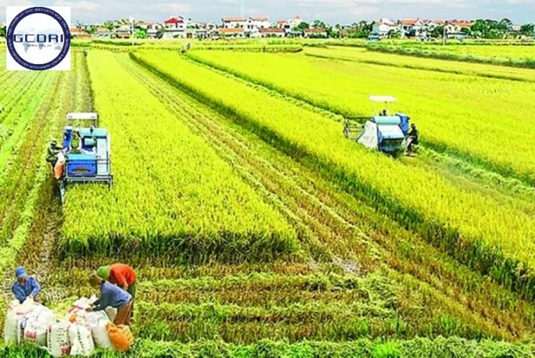 Ứng dụng chuyển đổi số trong nông nghiệp: Chiến lược nâng cao giá trị sản xuất bền vững