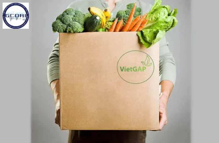 Tiêu Chuẩn VietGAP Cho Trồng Trọt Là Gì? Tìm Hiểu Về Rau VietGAP