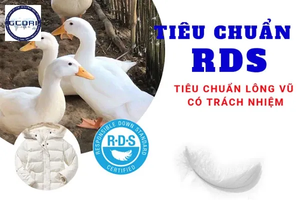 Tìm Hiểu Về Tiêu Chuẩn RDS: Bước Tiến Trọng Đại Trong Ngành Lông Vũ Bền Vững