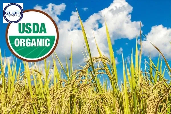 Hướng Dẫn Chứng Nhận Hữu Cơ USDA Organic: Cơ Hội Xuất Khẩu Nông Sản Vào Thị Trường Mỹ