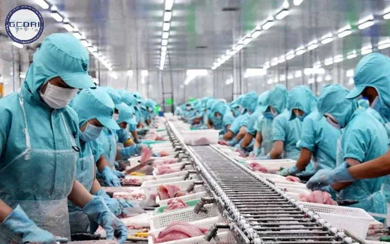 Doanh nghiệp sản xuất phải làm ISO 22000, HACCP & GMP theo NĐ 46/2026/NĐ-CP