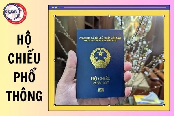 Hệ thống văn bản pháp lý quy định về hộ chiếu tại Việt Nam